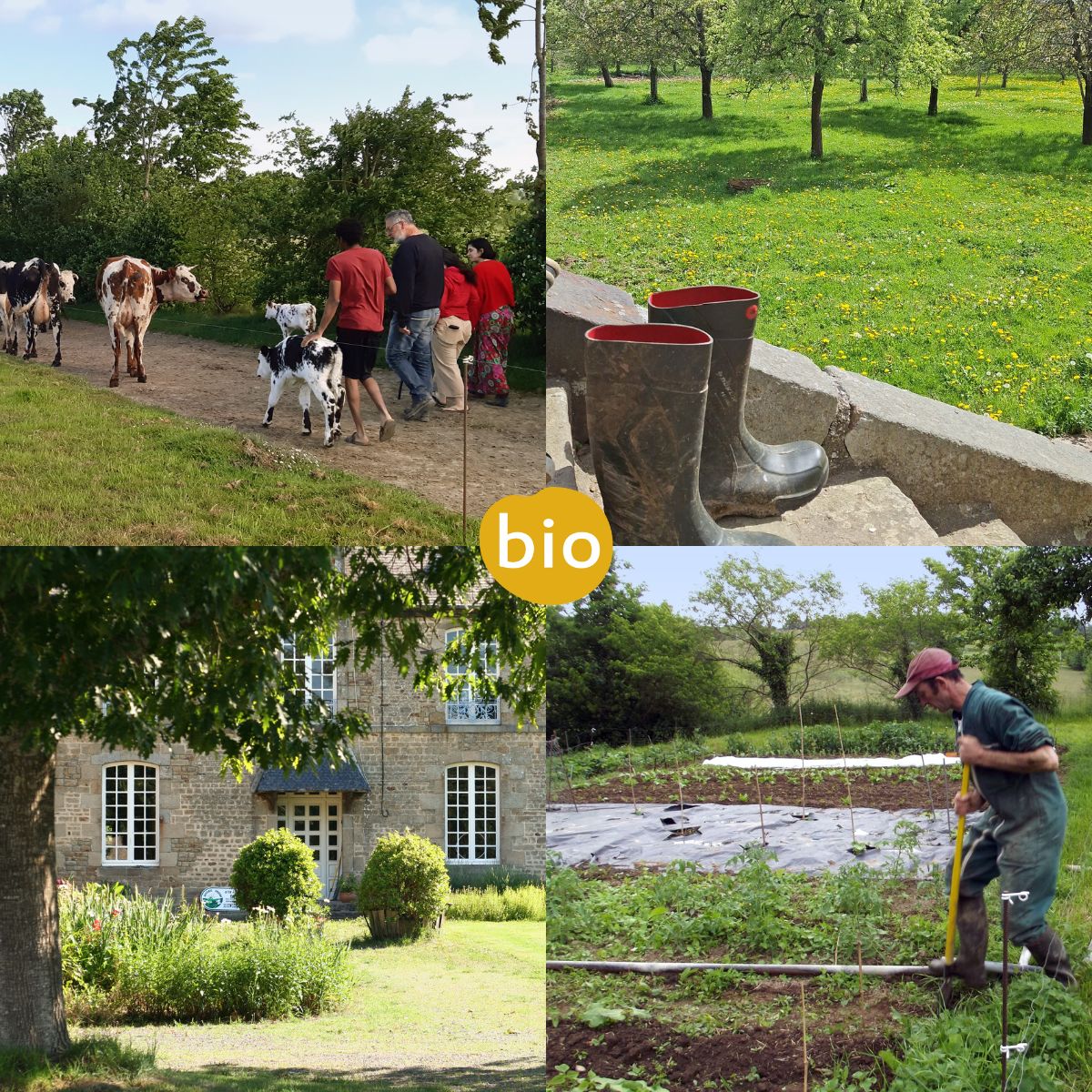 Ferme bio de la Motte